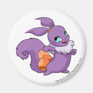 Aimant Usul Purple