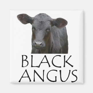 Aimant Vache noire