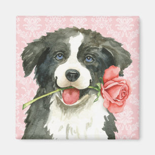 Aimant Valentine border collie rose