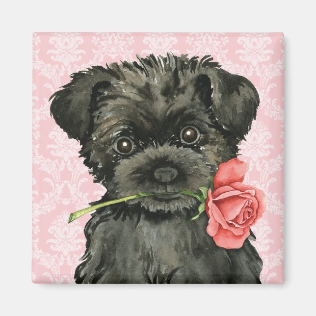 Aimant Valentine Rose Affenpinscher (Devant)