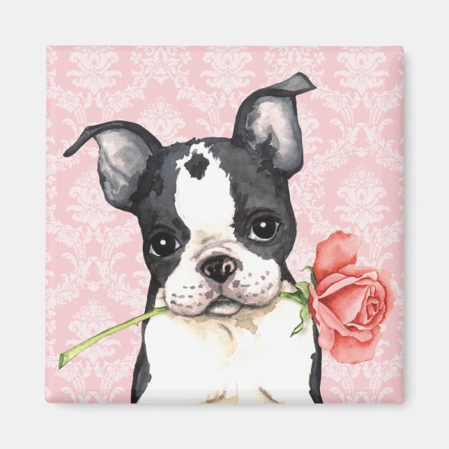 Aimant Valentine Rose Boston Terrier (Devant)
