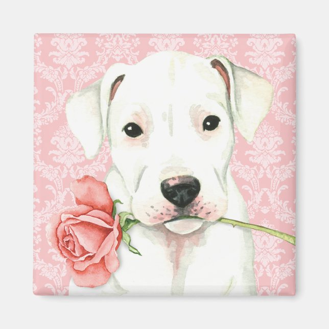 Aimant Valentine Rose Dogo (Devant)