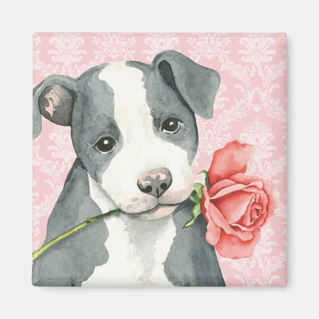 Aimant Valentine Rose Pit Bull (Devant)