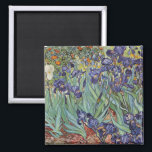 Aimant Van Gogh Irises Peinture impressionniste<br><div class="desc">Vincent Van Gogh Irises à Saint Remy - Irises de Vincent Van Gogh est une magnifique peinture impressionniste réalisée par l'un des maîtres impressionnistes de tous les temps. Le jardin de l'iris tourbillonne de couleur et d'émotion, les iris violets jaillissant de leurs tiges et feuilles bleus et verts. Il y...</div>