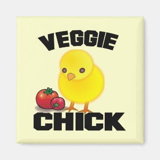 Aimant Vegan