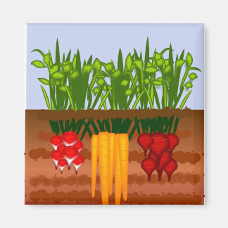 Aimant Veggie Garden