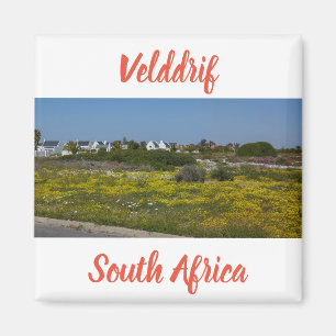 Aimant Velddrif West Coast Fleurs sauvages Afrique du Sud
