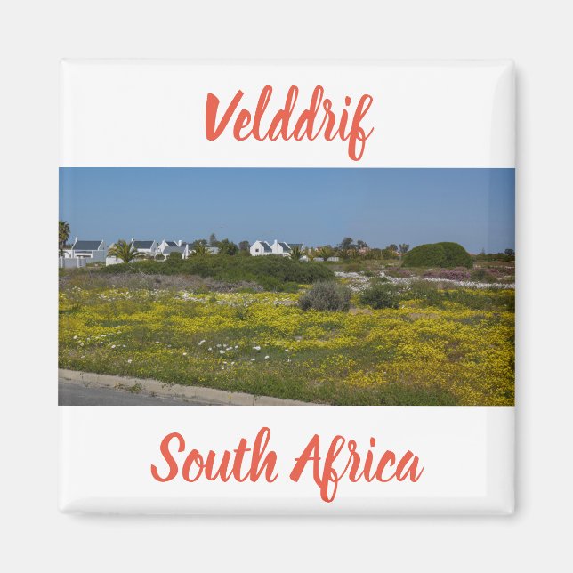 Aimant Velddrif West Coast Fleurs sauvages Afrique du Sud (Devant)
