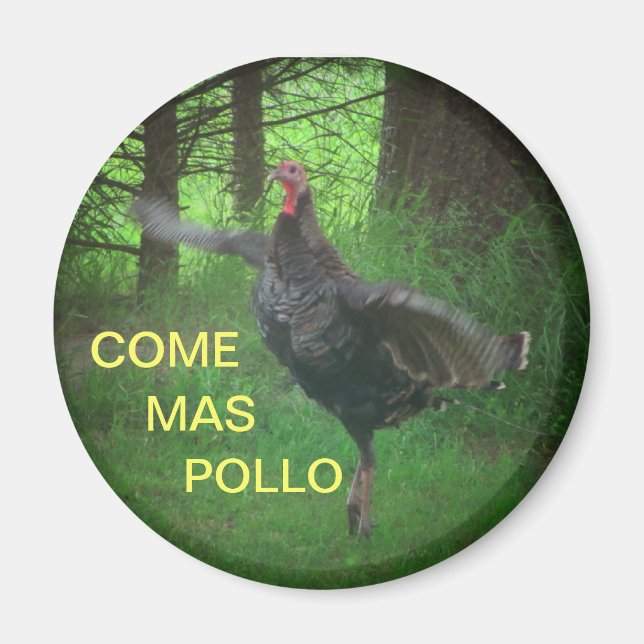 Aimant Venez Mas Pollo Drôle Turquie (Devant)