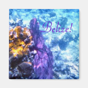 Aimant Ventilateur marin du Belize