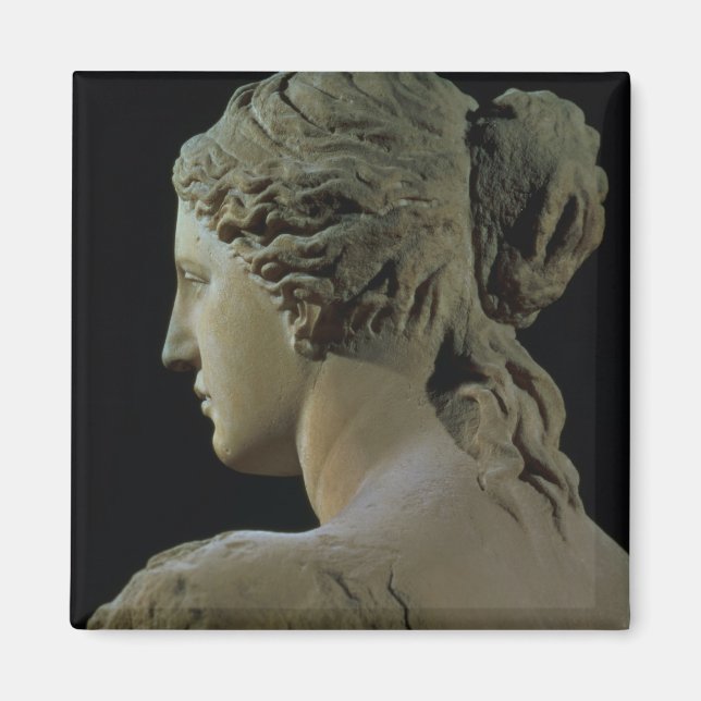Aimant Vénus de Milo, détail of the back of the head, Hel (Devant)