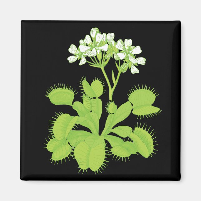 Aimant Vénus Flytrap (Devant)