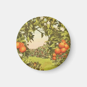 Aimant Verger d'orangers vintage
