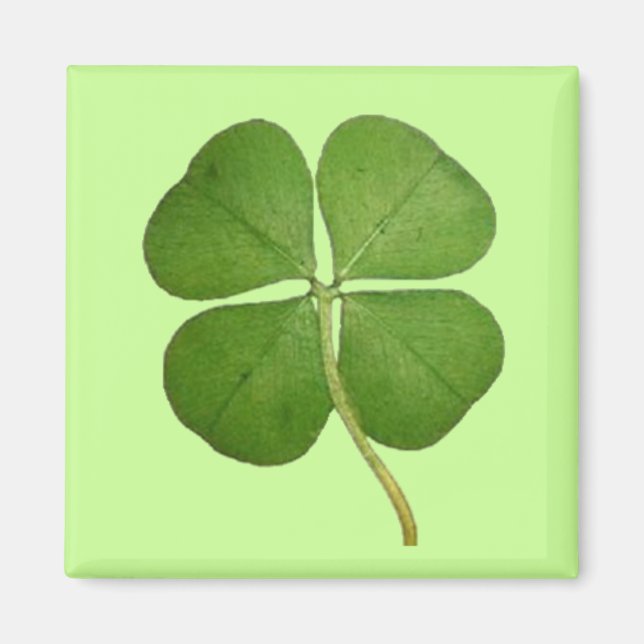 Aimant Véritable Shamrock de fermeture à 4 feuilles (Devant)