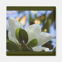 Verre tendu Ciel Magnolia Sud Cadeaux Vêtements
