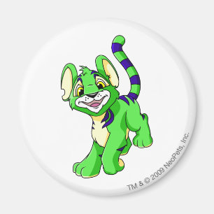 Aimant Vert de Kougra