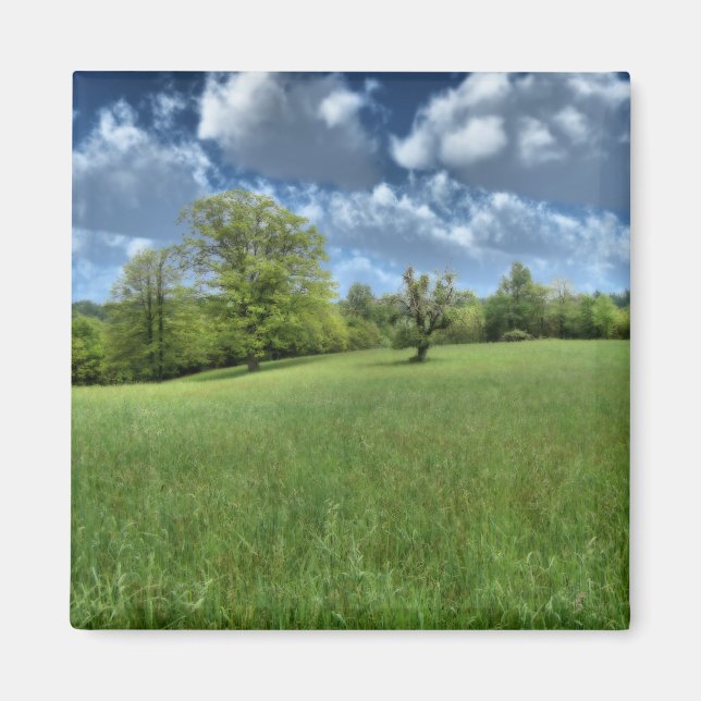 Aimant vert des Appalaches (Devant)