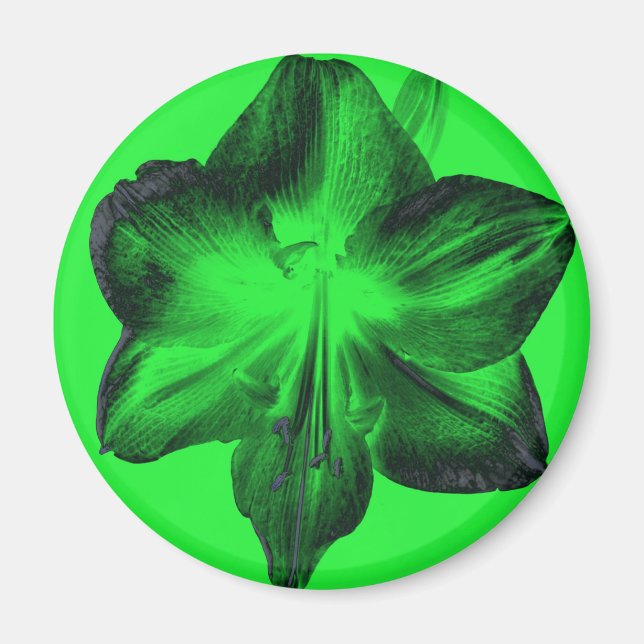 Aimant Vert foncé sur vert clair Amaryllis (Devant)