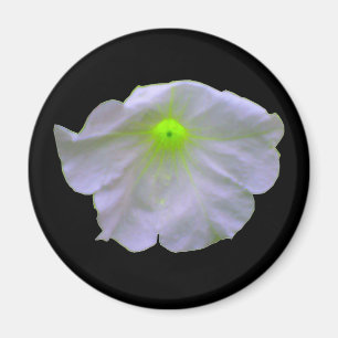 Aimant vert Petunia
