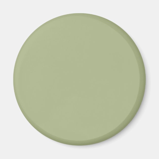 Aimant Vert sauge poussiéreux uni (Devant)