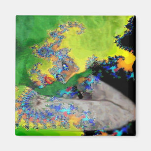 AIMANT VIBRATIONS DE MATIÈRE