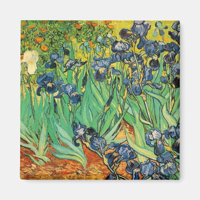 Aimant Vicent van Gogh, Iris (Devant)