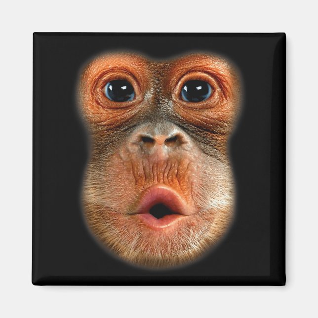 Aimant Vidéo virale drôle et cool du ventre de singe  (Devant)