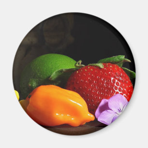 Aimant vie morte-fruitière