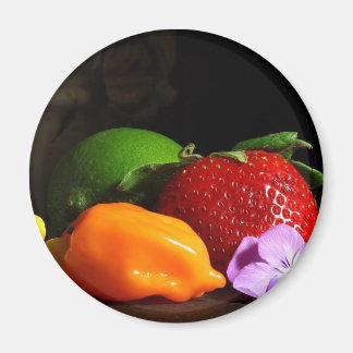 Aimant vie morte-fruitière