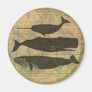 Aimant Vieille Baleine Nautilique Vieille Océan Vie Mari