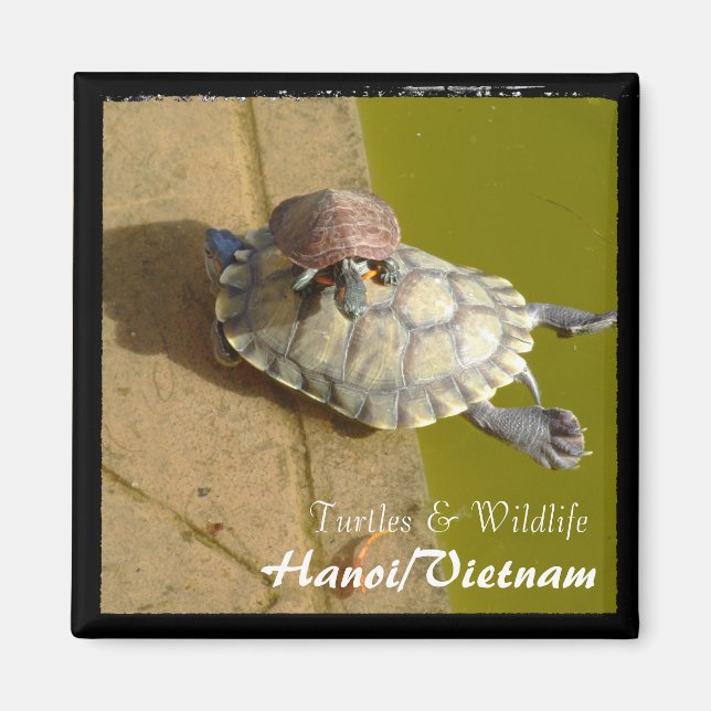 Aimant Vietnam, Hanoï, Tortues (aimant) (Devant)