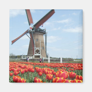Aimant Vieux moulin japonais