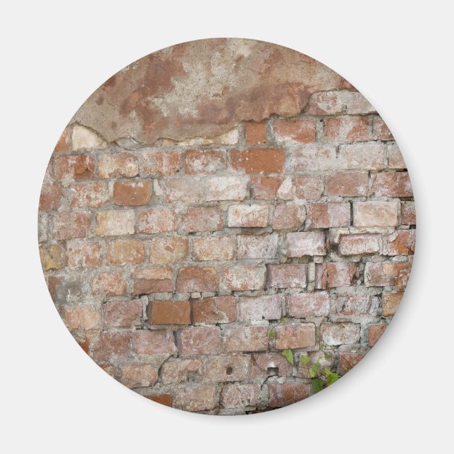 Aimant Vieux mur en briques (Devant)