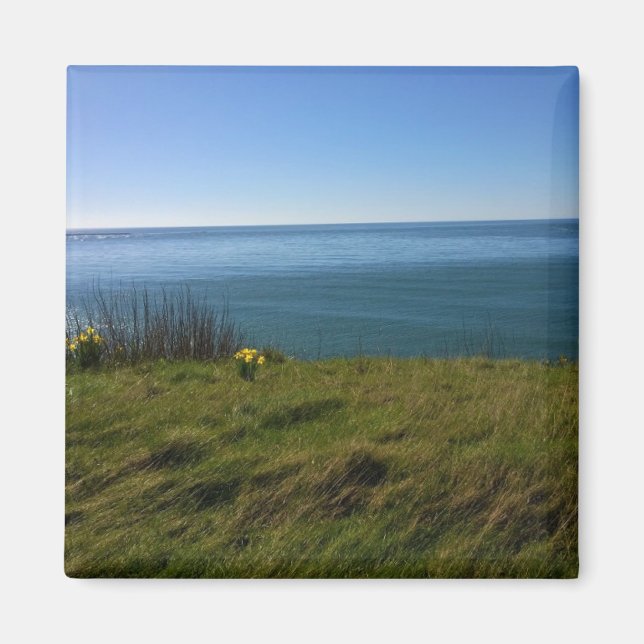Aimant View from Cape Disappointment Lighthouse, Wash. (Devant)