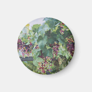 Aimant Vignoble de la Vallée de la Loire – Peinture de Ra