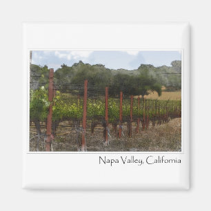 Aimant Vignoble de Napa Valley en Californie
