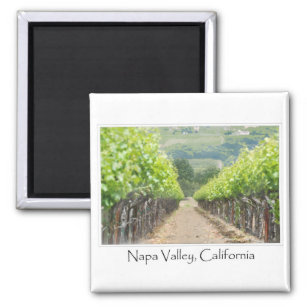 Aimant Vignoble de printemps à Napa Valley en Californie