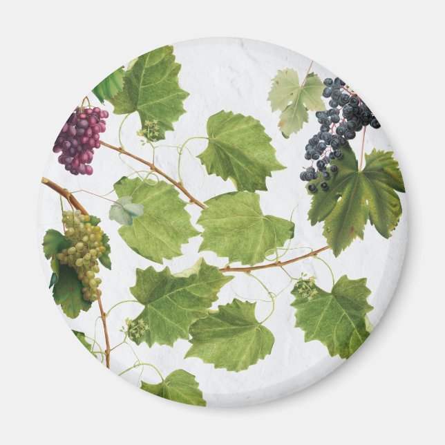 Aimant Vignoble de raisins Ile grecque méditerranéenne (Devant)