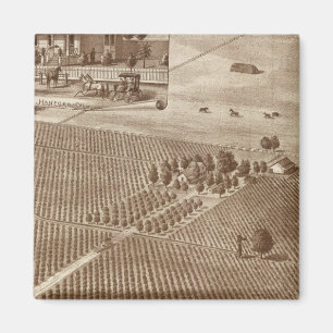 Aimant Vignoble Peerless, Hanford, Cal