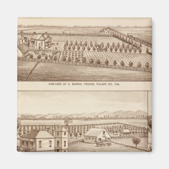 Aimant Vignobles, ranch, Tulare Co, Calif (Devant)