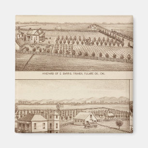 Aimant Vignobles, ranchs, Tulare Co, Calif