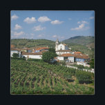 Aimant Vignobles, Village de San Miguel, Douro<br><div class="desc">Vignobles,  Village de San Miguel,  Vallée de Douro,  Costa Verde,  Portugal � PAUL THOMPSON / DanitaDelimont.com</div>