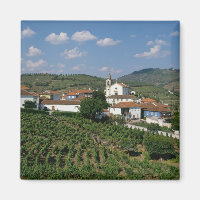 Vignobles, village de San Miguel, Douro