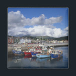 Aimant Ville et port, Dingle, comté de Kerry,<br><div class="desc">Ville et port,  Dingle,  comté de Kerry,  Munster,  Irlande � Paul Thompson / DanitaDelimont.com</div>