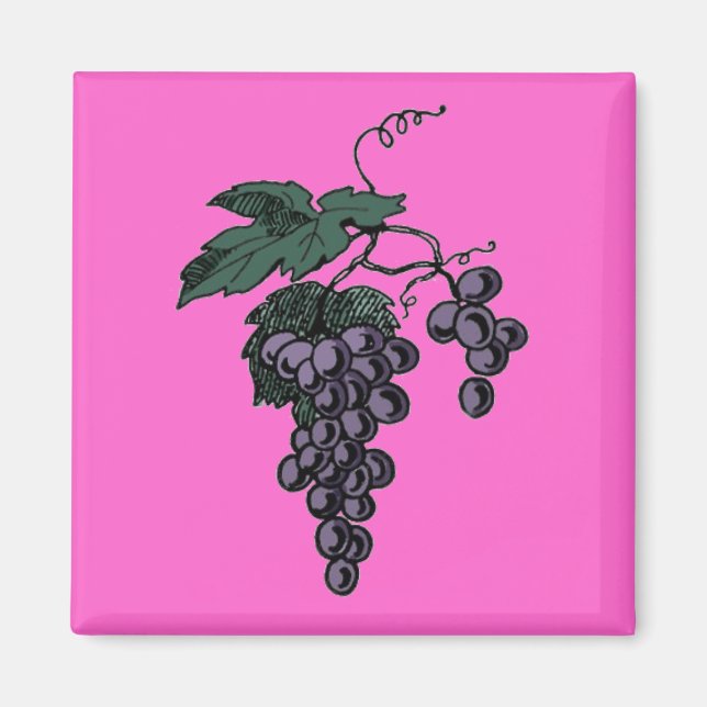 Aimant Vin de raisin (Devant)