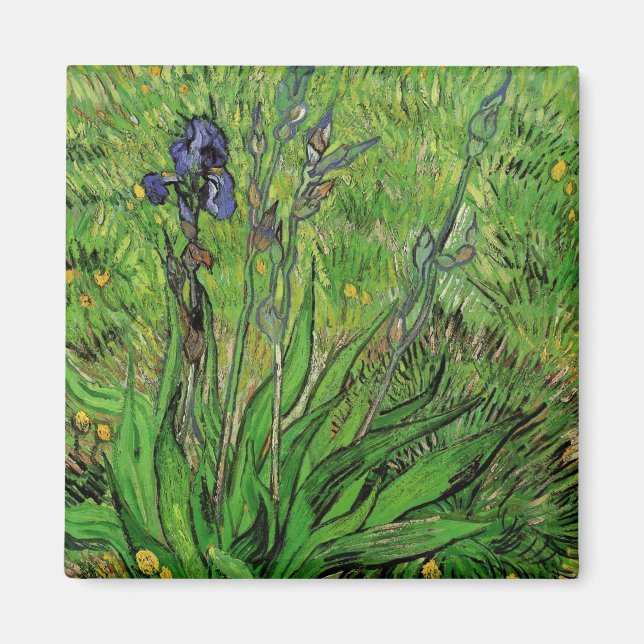 Aimant Vincent van Gogh - Iris (Devant)