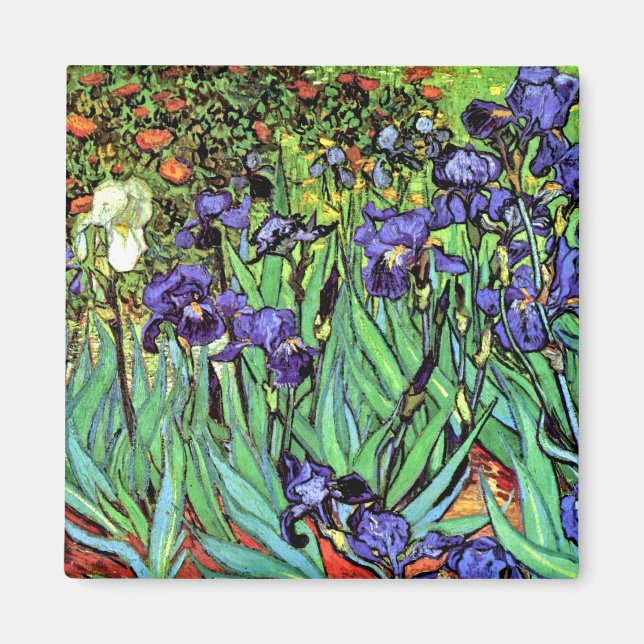 Aimant Vincent Van Gogh - Iris - Amoureux des Fleurs Beau (Devant)