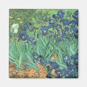 Aimant Vincent van Gogh Irises, 1889