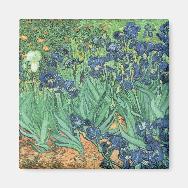 Aimant Vincent van Gogh | Irises, 1889 (Devant)