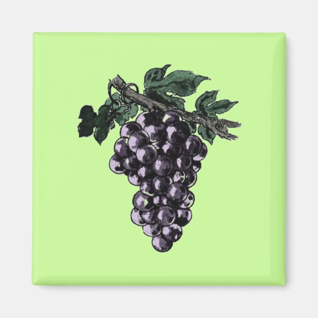 Aimant Vins de raisin (Devant)